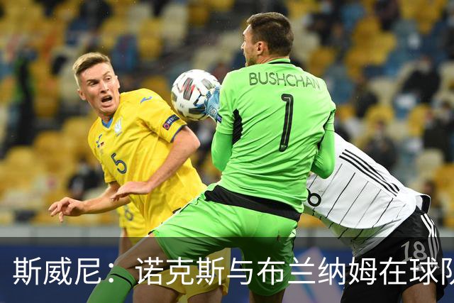 斯威尼：诺克斯与布兰纳姆在球队中迅速适应